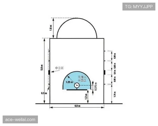 FIBA和NBA规则区别深度解析：不同判罚标准全解读