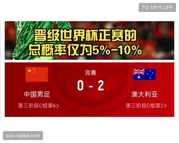 世界杯E组晋级概率最新预测